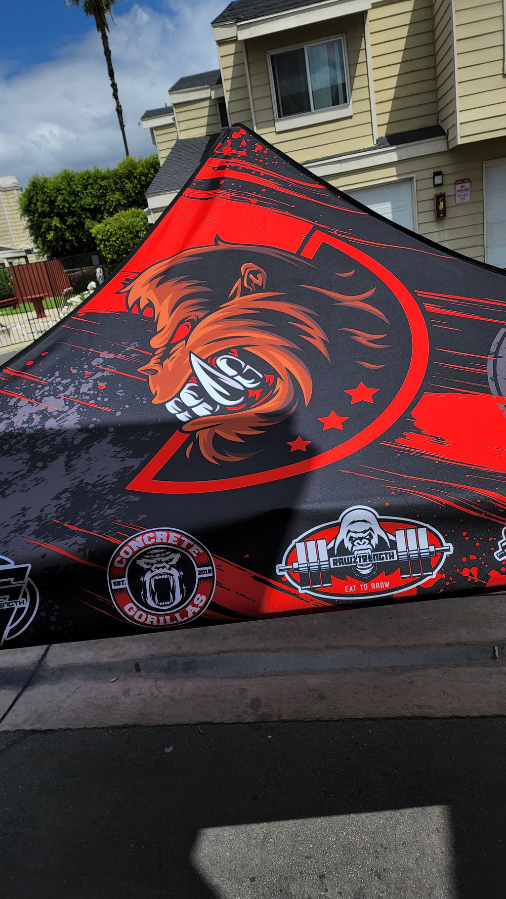 10 x 10 Canopy