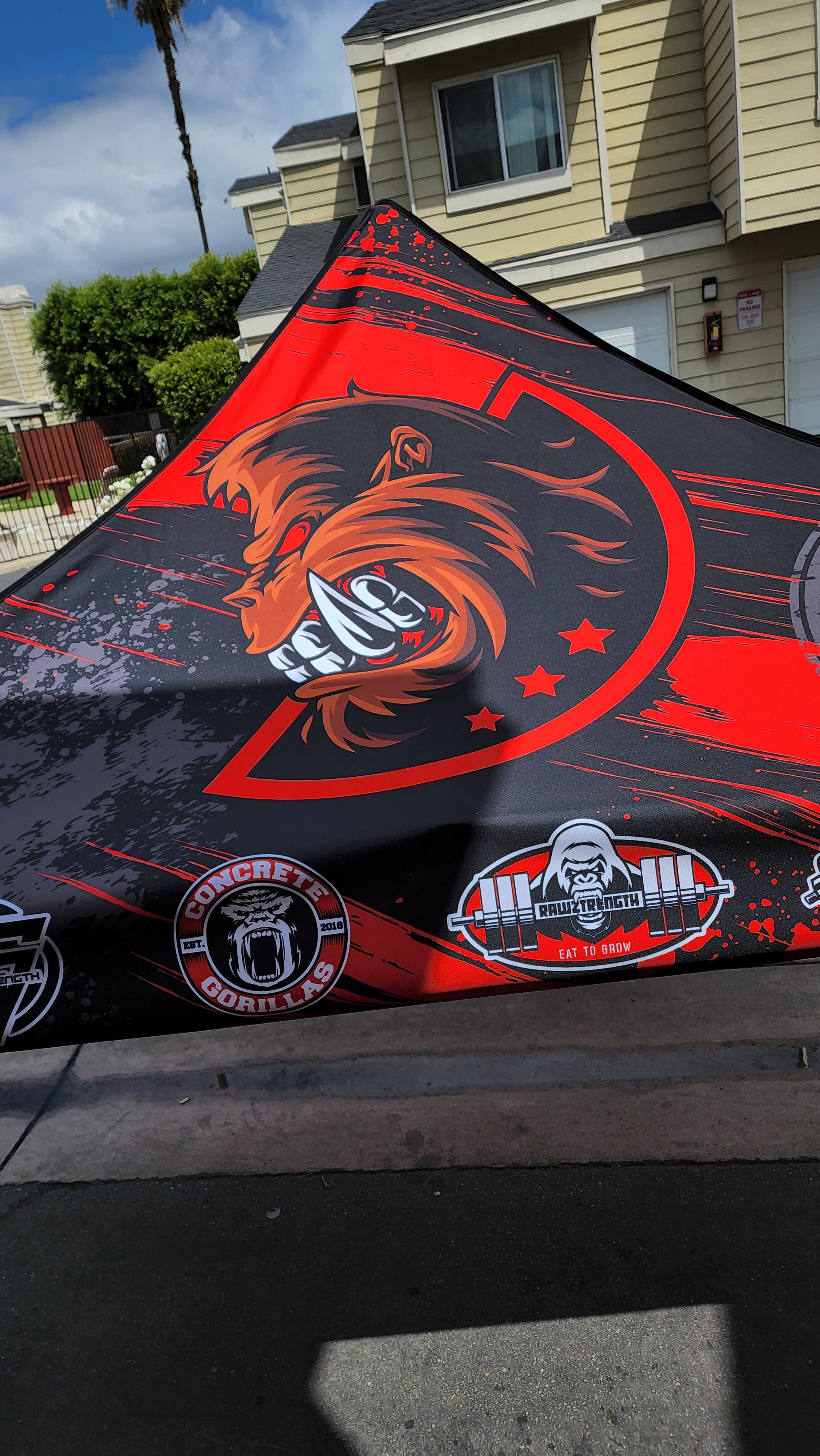 10 x 10 Canopy
