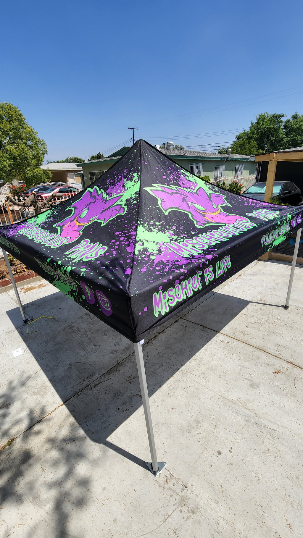 10 x 10 Canopy