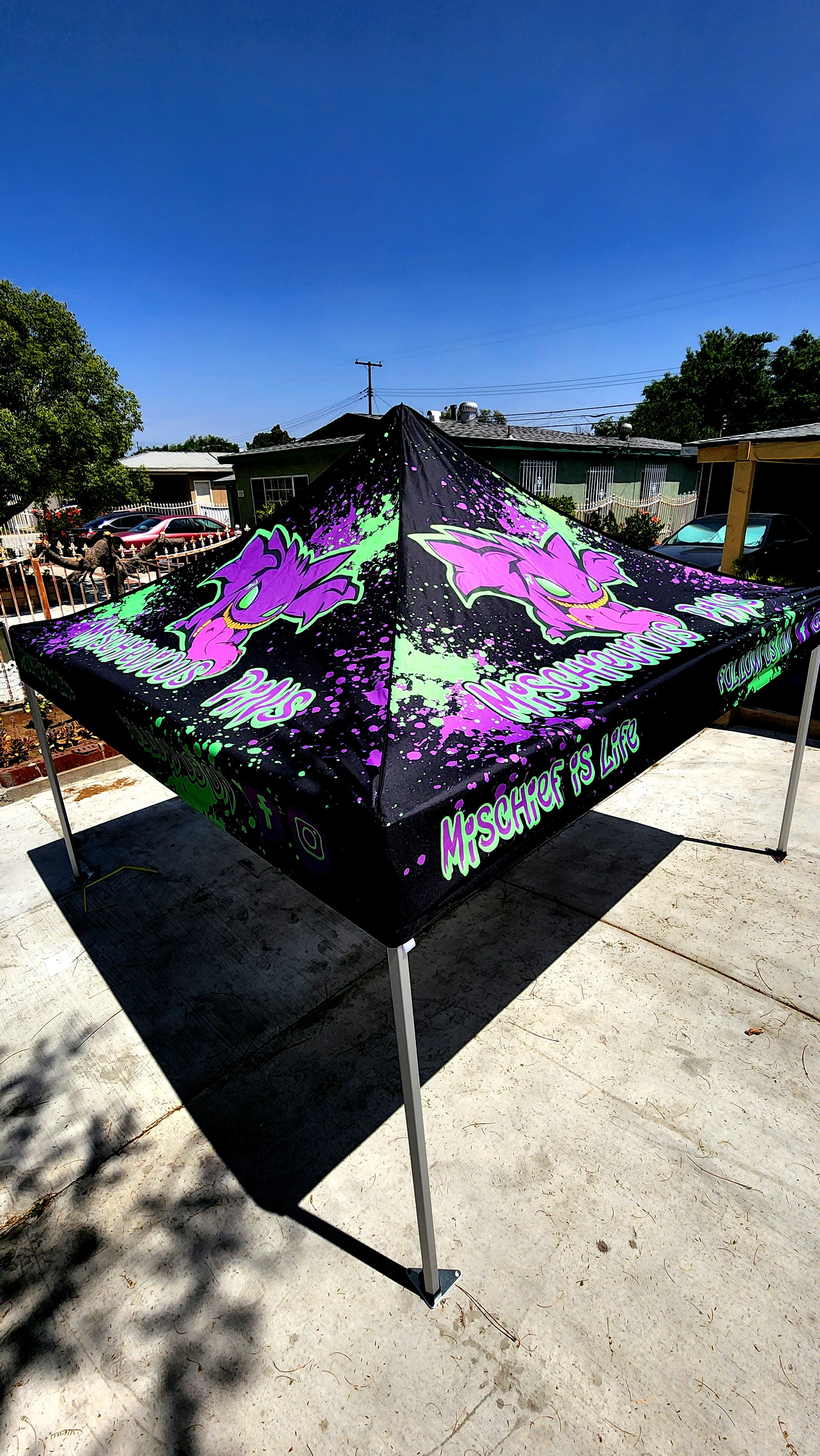 10 x 10 Canopy