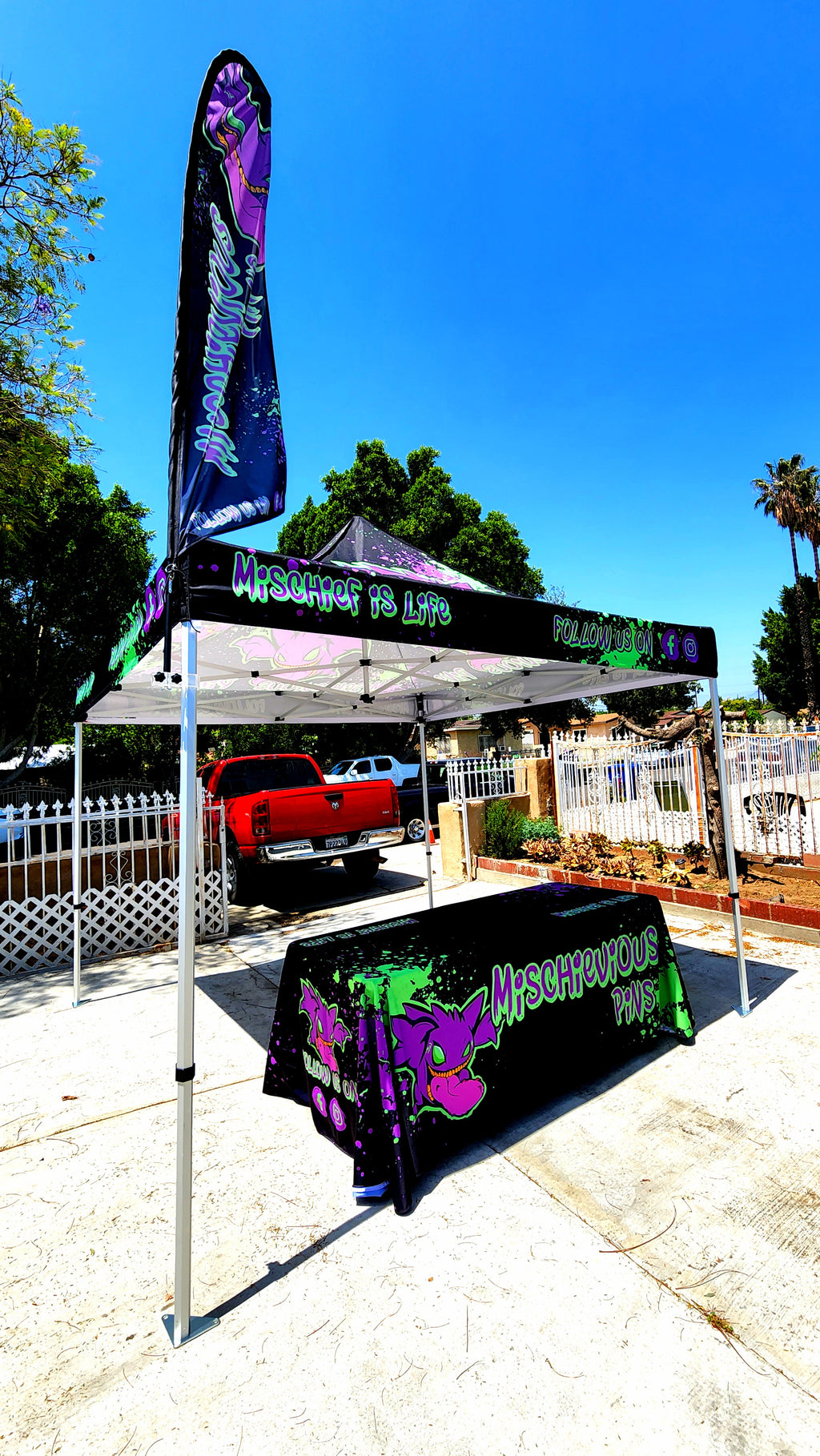 10 x 10 Canopy