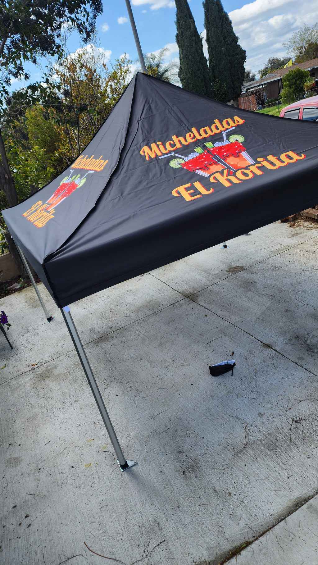 10 x 10 Canopy