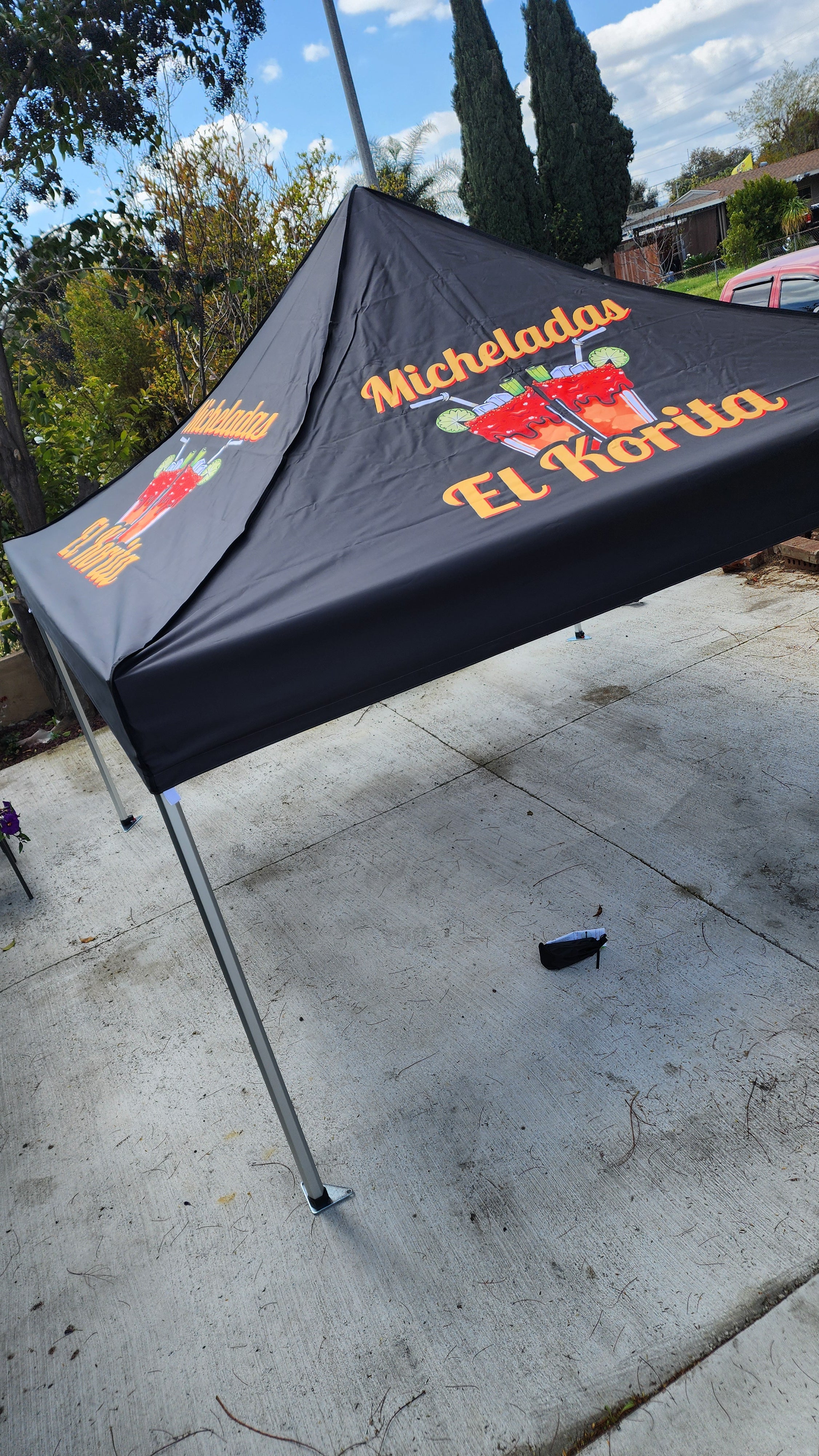10 x 10 Canopy