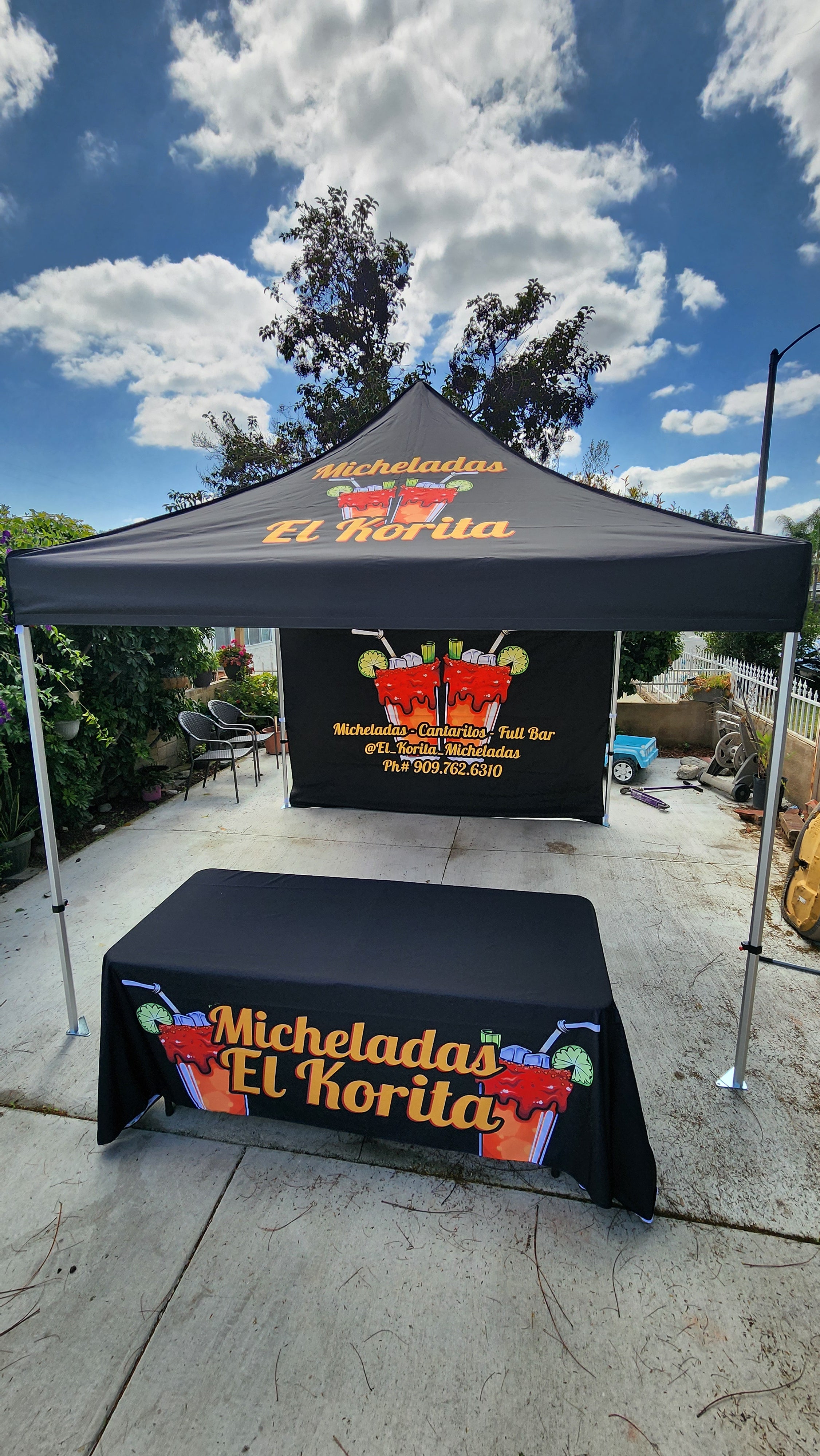 10 x 10 Canopy