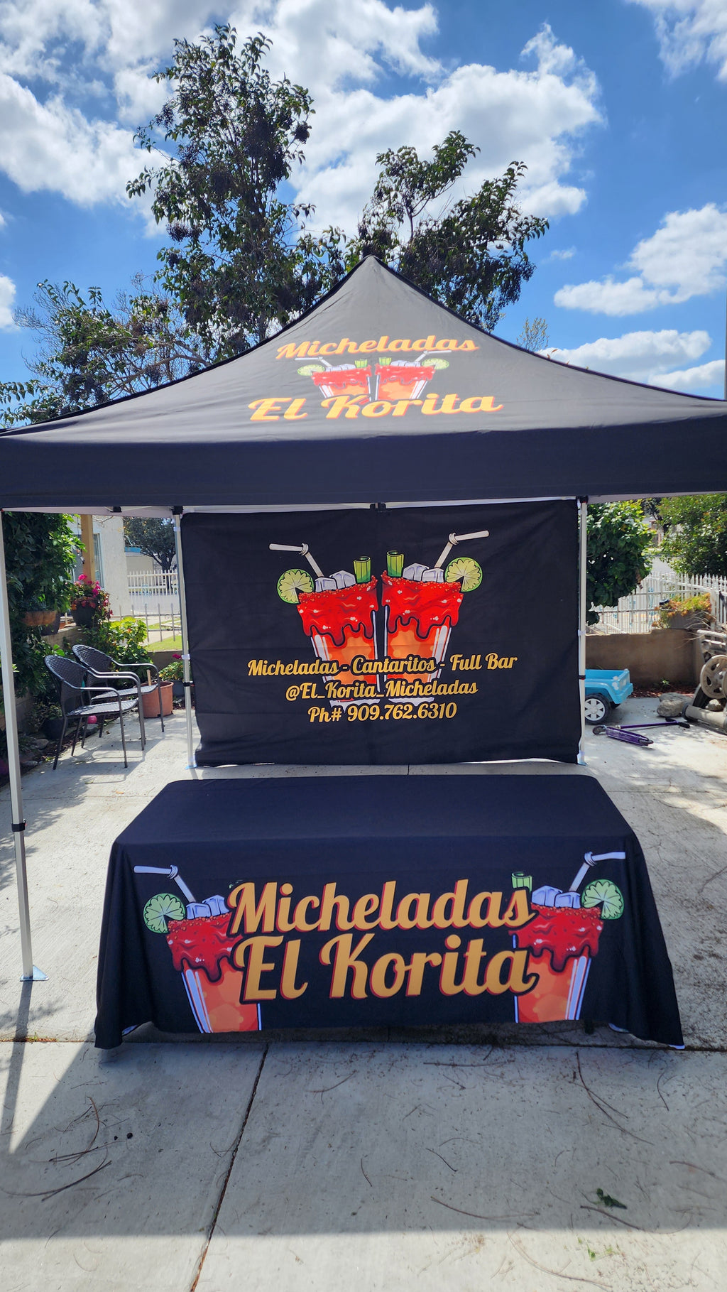 10 x 10 Canopy