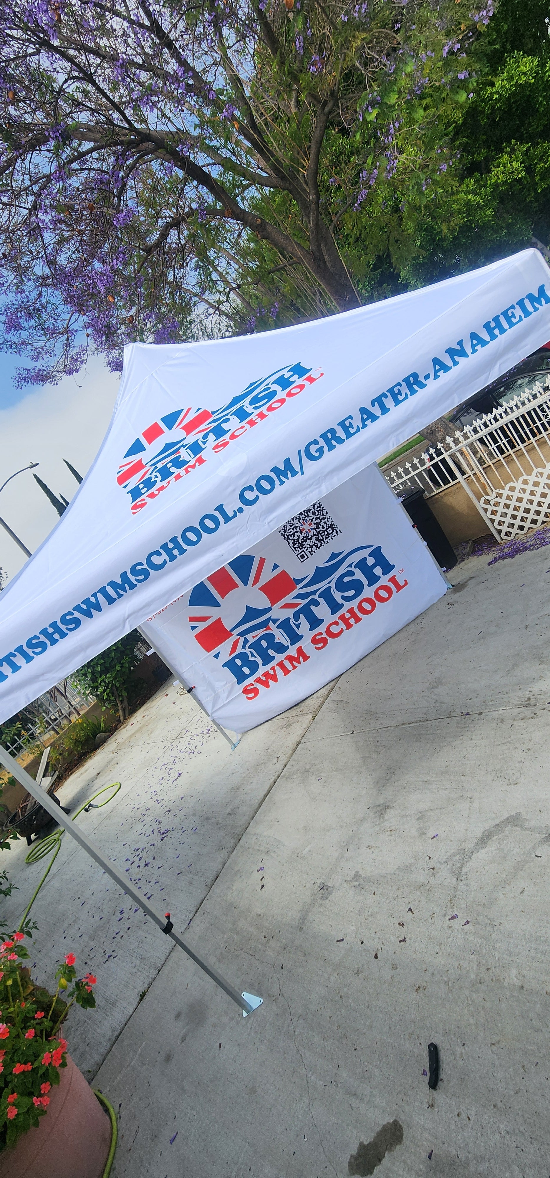 10 x 10 Canopy