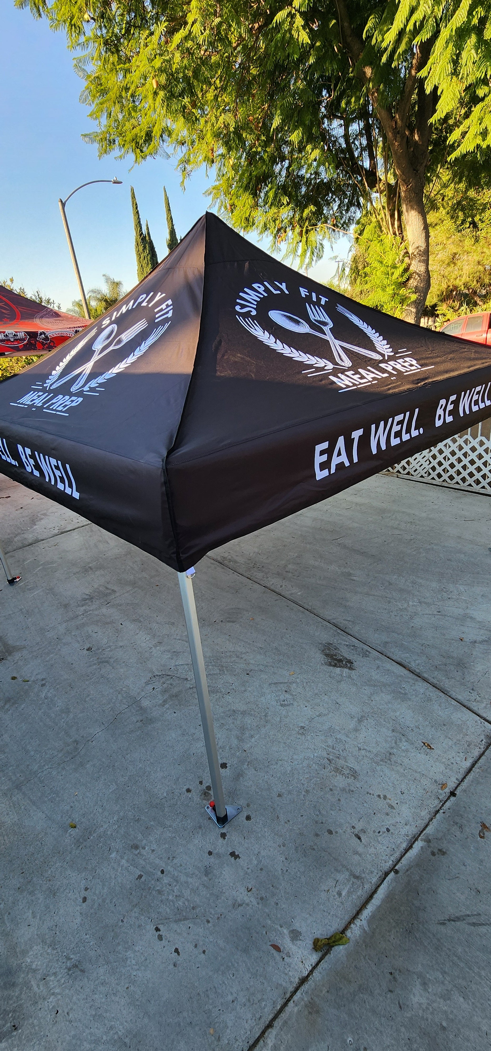 10 x 10 Canopy