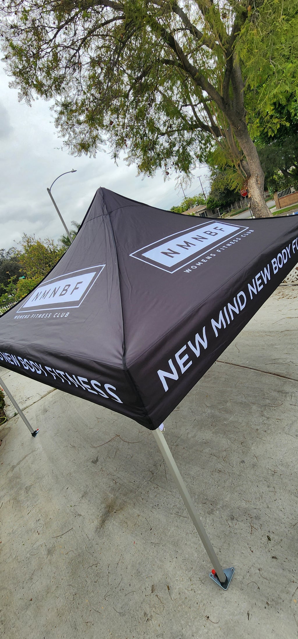 10 x 10 Canopy
