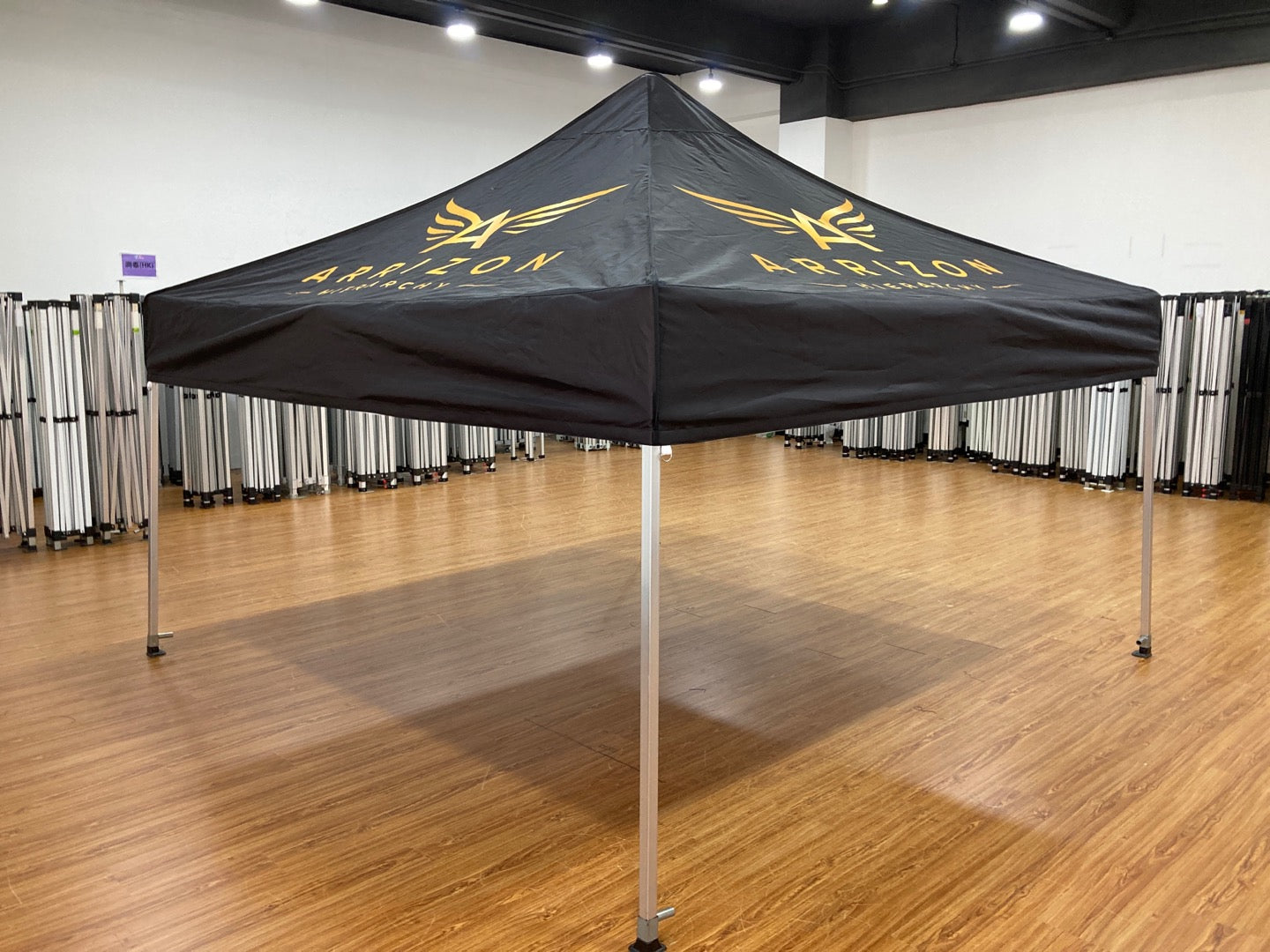 10 x 10 Canopy