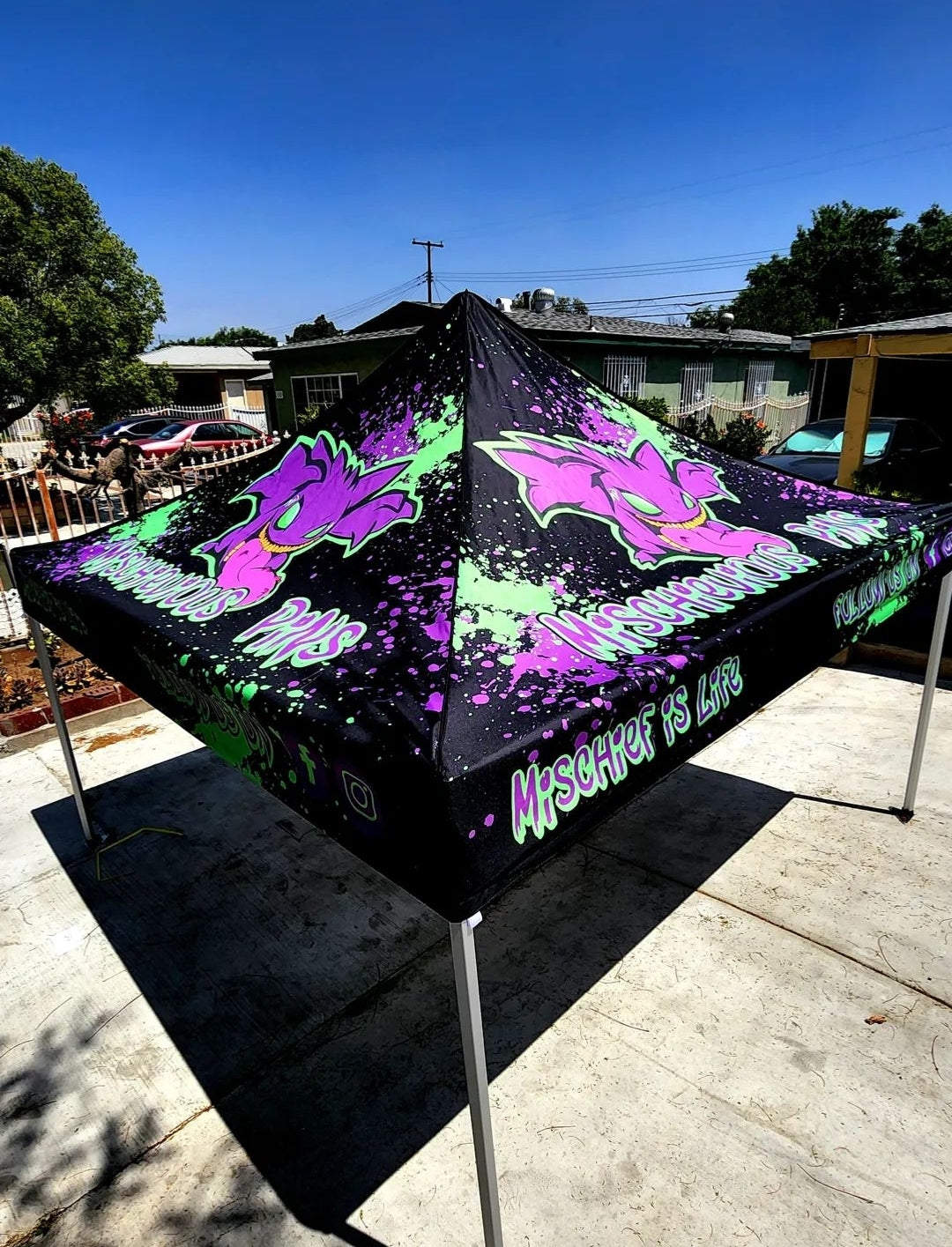 10 x 10 Canopy
