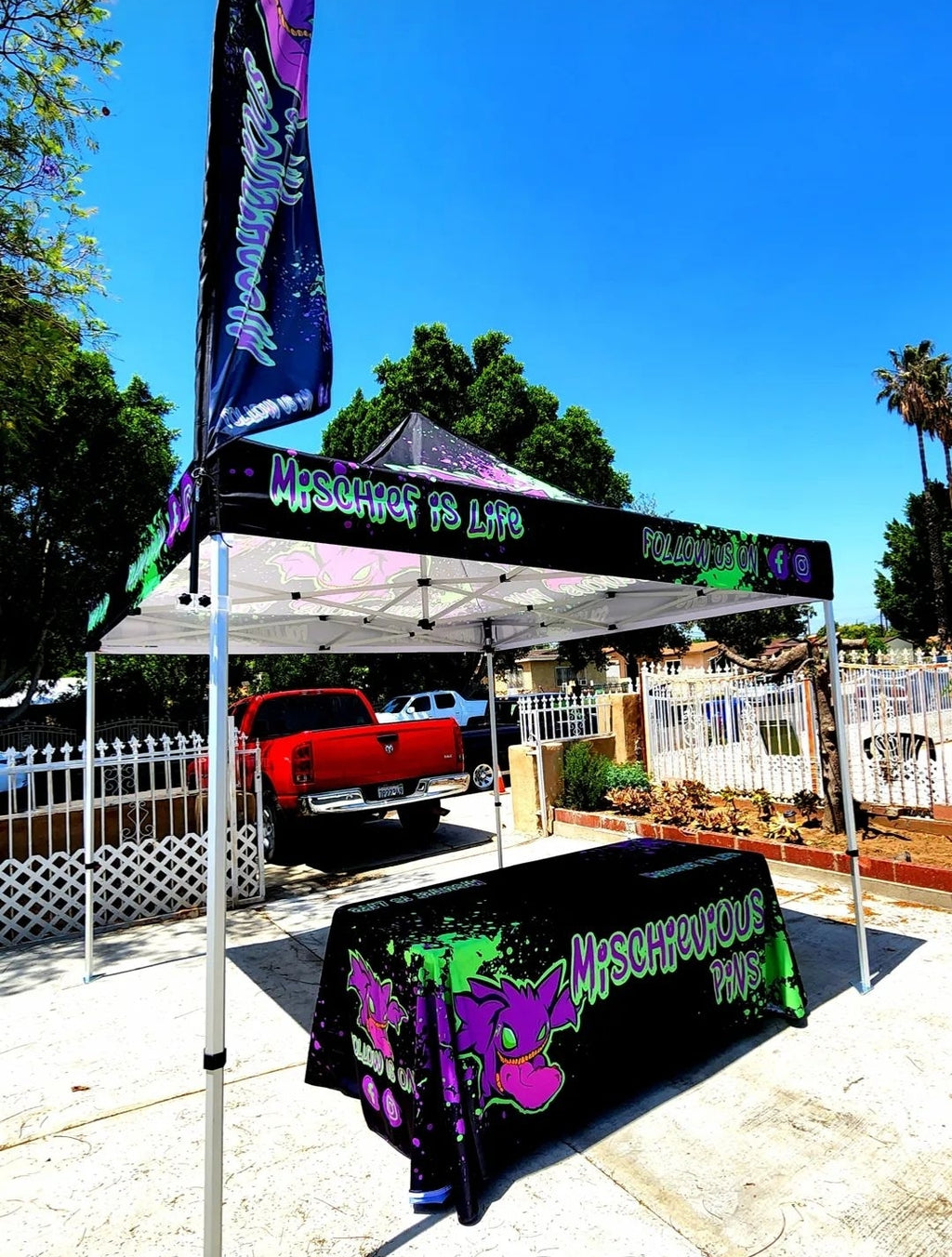 10 x 10 Canopy